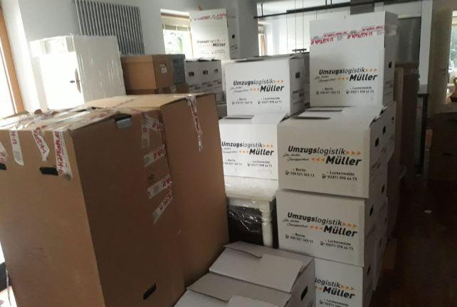 Labor Umzug preise erfahren in Kamenz